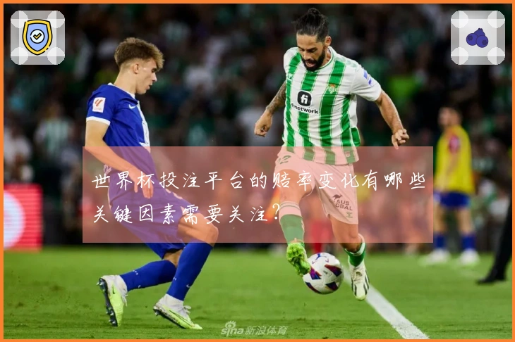 世界杯投注平台的赔率变化有哪些关键因素需要关注？