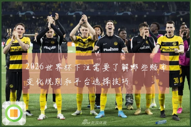 2026世界杯下注需要了解哪些赔率变化规则和平台选择技巧