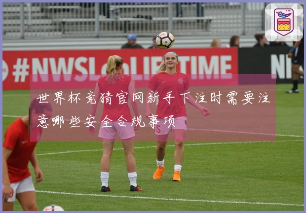 世界杯竞猜官网新手下注时需要注意哪些安全合规事项