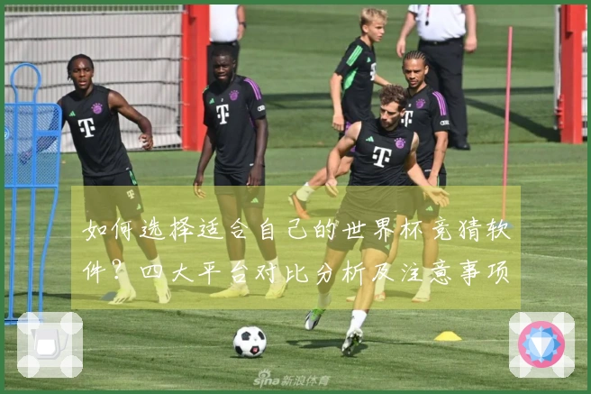 如何选择适合自己的世界杯竞猜软件？四大平台对比分析及注意事项