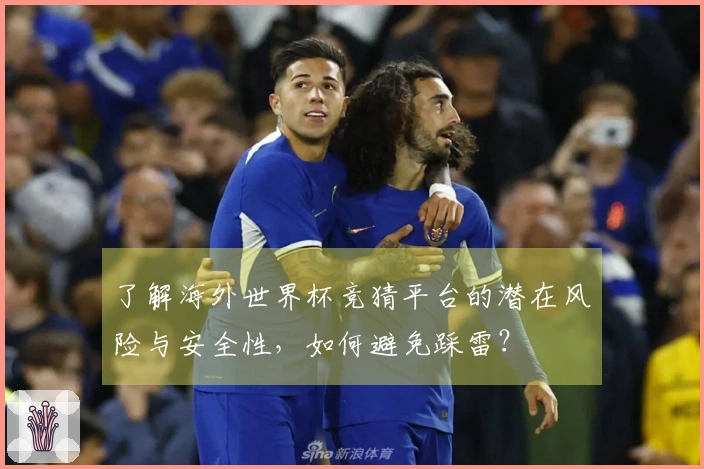 了解海外世界杯竞猜平台的潜在风险与安全性，如何避免踩雷？