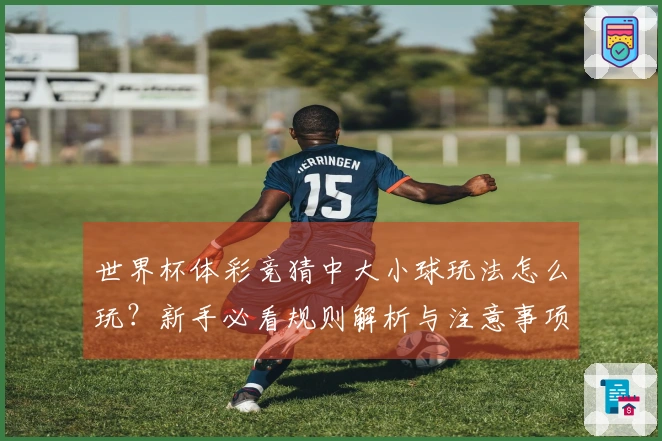 世界杯体彩竞猜中大小球玩法怎么玩？新手必看规则解析与注意事项