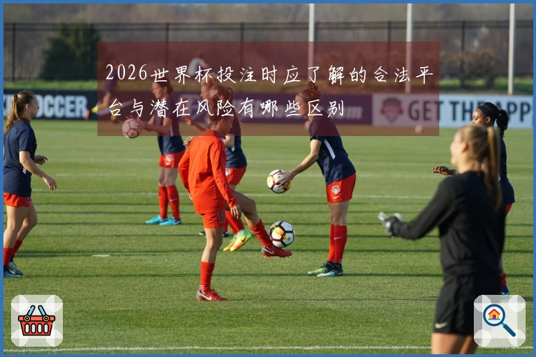 2026世界杯投注时应了解的合法平台与潜在风险有哪些区别
