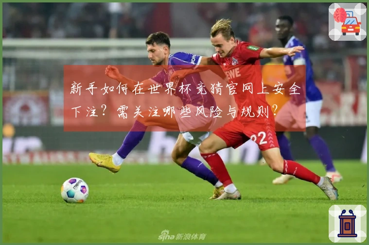 新手如何在世界杯竞猜官网上安全下注？需关注哪些风险与规则？