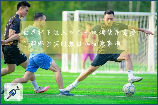 世界杯下注入口在手机端使用需要了解哪些实时数据和注意事项