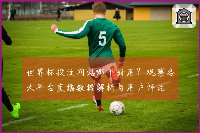 世界杯投注网站哪个好用？观察各大平台直播数据解析与用户评论