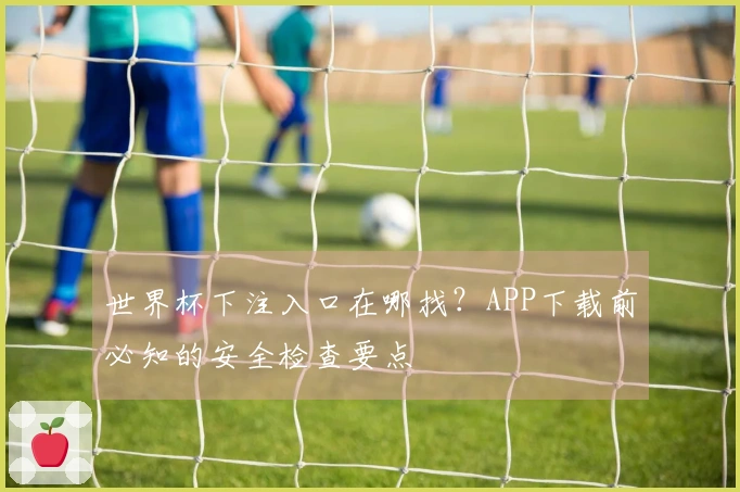 世界杯下注入口在哪找？APP下载前必知的安全检查要点