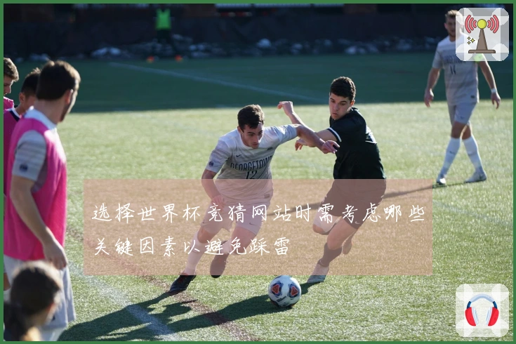 选择世界杯竞猜网站时需考虑哪些关键因素以避免踩雷