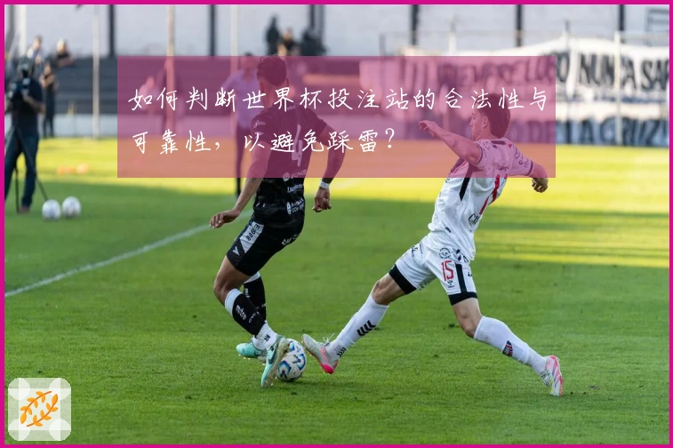 如何判断世界杯投注站的合法性与可靠性，以避免踩雷？