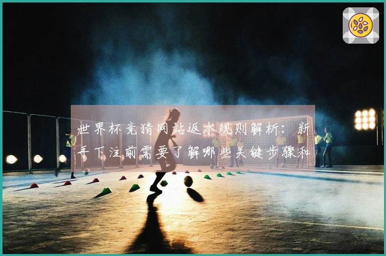 世界杯竞猜网站返水规则解析：新手下注前需要了解哪些关键步骤和注意事项