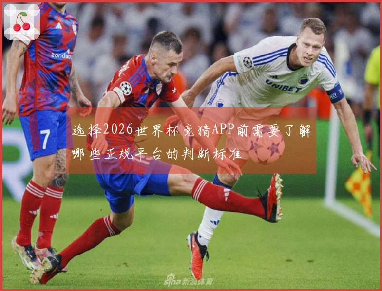 选择2026世界杯竞猜APP前需要了解哪些正规平台的判断标准