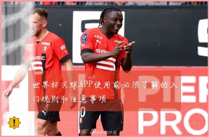 世界杯买球APP使用前必须了解的入门规则和注意事项