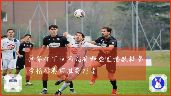世界杯下注网站有哪些直播数据参考指标赛前准备指南