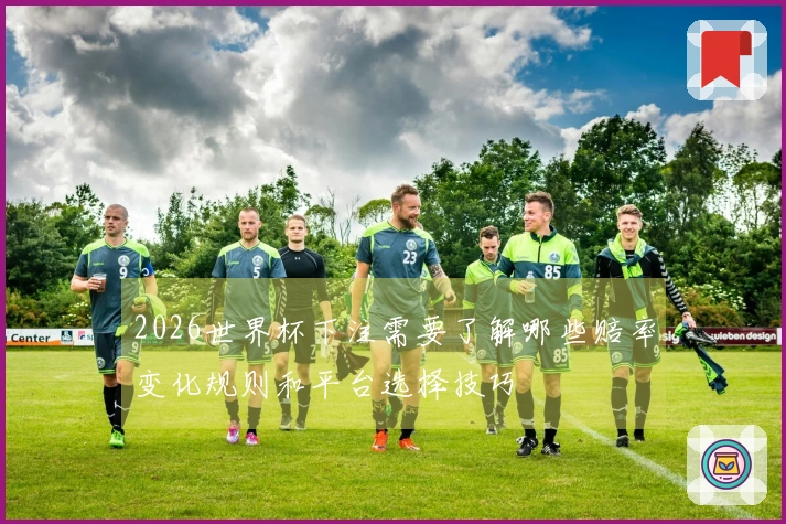 2026世界杯下注需要了解哪些赔率变化规则和平台选择技巧