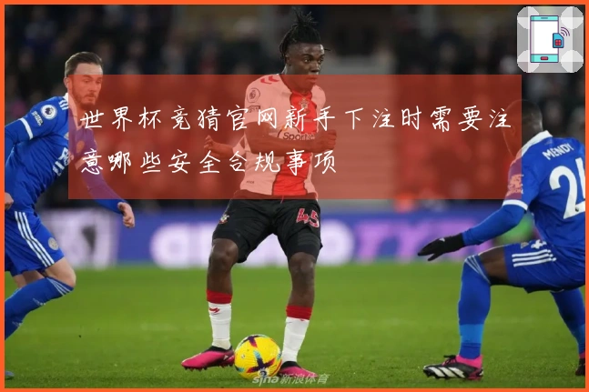 世界杯竞猜官网新手下注时需要注意哪些安全合规事项
