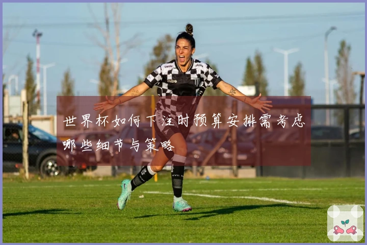 世界杯如何下注时预算安排需考虑哪些细节与策略