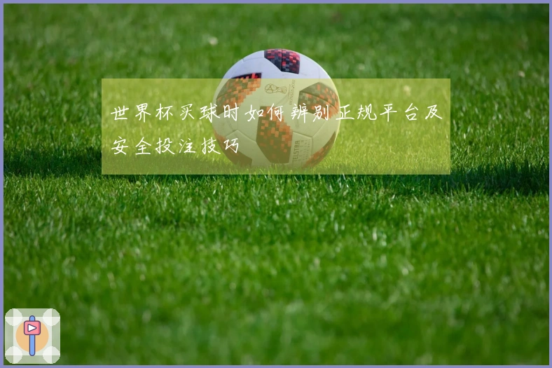世界杯买球时如何辨别正规平台及安全投注技巧