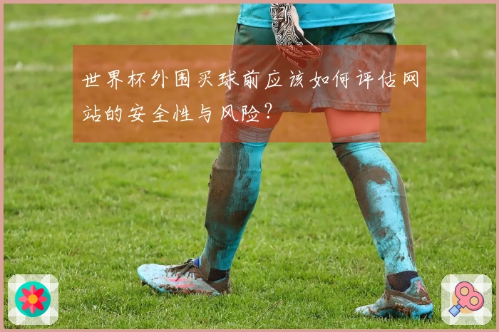 世界杯外围买球前应该如何评估网站的安全性与风险？