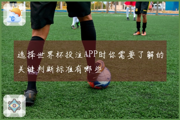 选择世界杯投注APP时你需要了解的关键判断标准有哪些