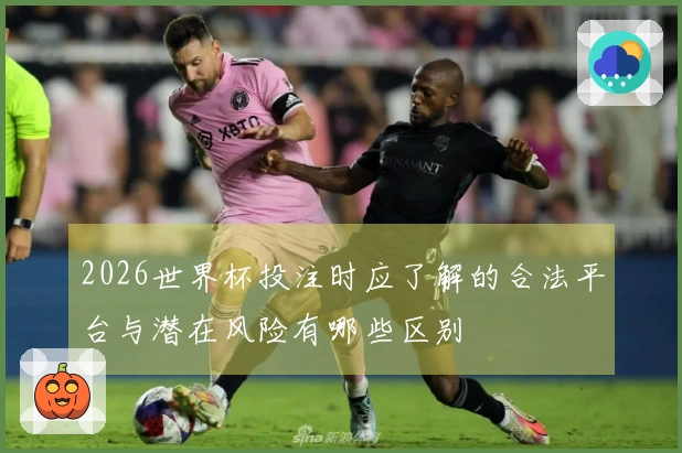 2026世界杯投注时应了解的合法平台与潜在风险有哪些区别