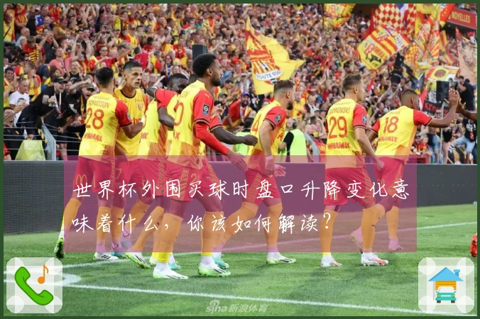 世界杯外围买球时盘口升降变化意味着什么，你该如何解读？