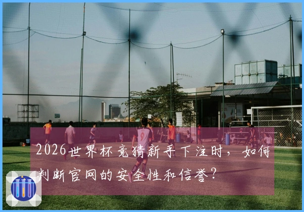 2026世界杯竞猜新手下注时，如何判断官网的安全性和信誉？