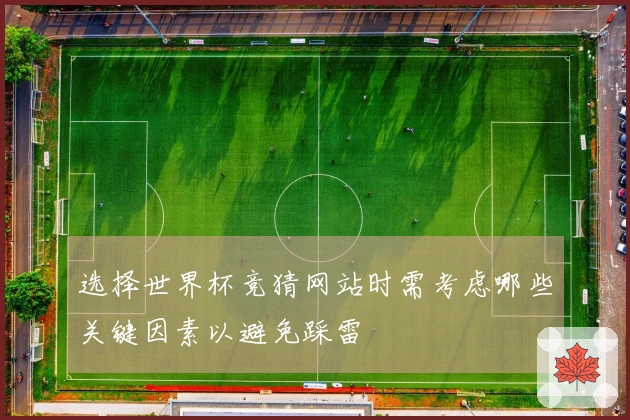 选择世界杯竞猜网站时需考虑哪些关键因素以避免踩雷